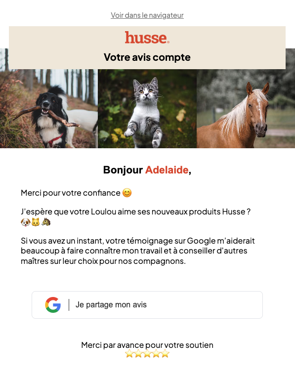 Email automatisé Husse — demande d'avis Google personnalisée