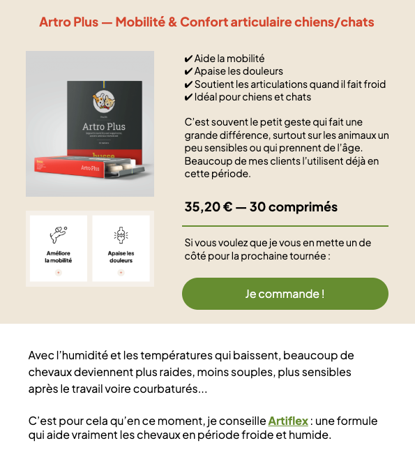 IDE et preview de votre application sur-mesure